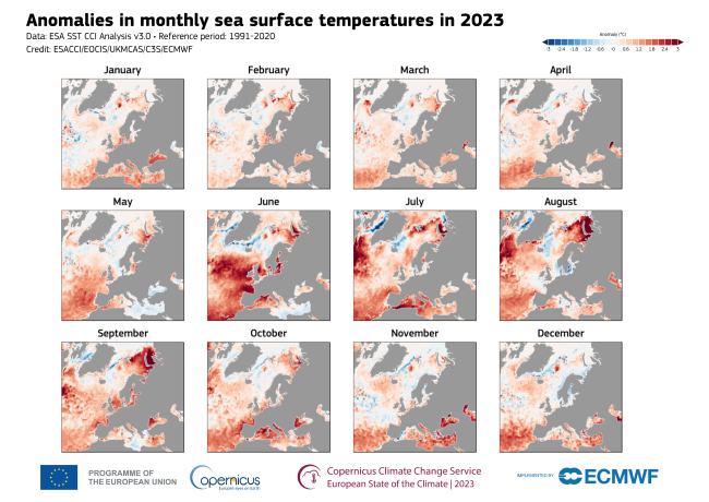 Anomalies des températures mensuelles de surface de la mer en 2023 (Europe)