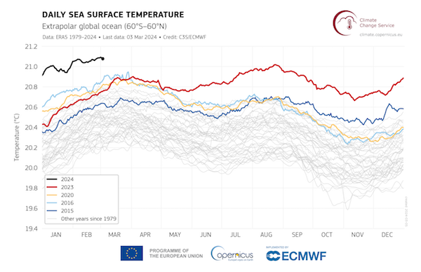Température quotidienne de la surface de la mer (°C) 1979-2024