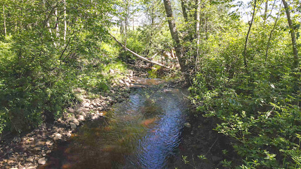 Ferme du Ruisseau Fleury. Consolidation dea zone tampon du ruisseau Fleury.