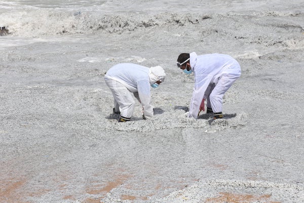 Nettoyage des plages au Sri-Lanka