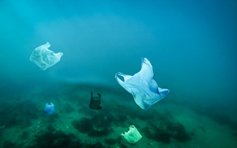 Pollution plastique des océans