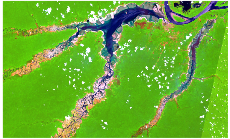 Des sécheresses sans précédent dans le bassin amazonien