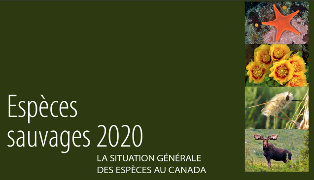 Espèces sauvages 2020: la situation générale des espèces au Canada