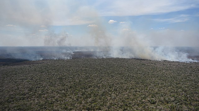 Incendie de forêt dans la terre indigène de Porquinhos, dans le Maranhão