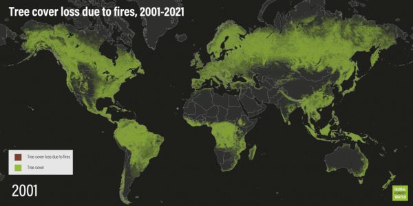 Perte de couvert arboré due aux incendies, 2001-2021