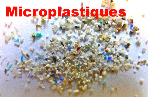 Microplastiques
