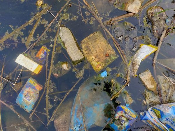 Pollution plastique dans l'eau