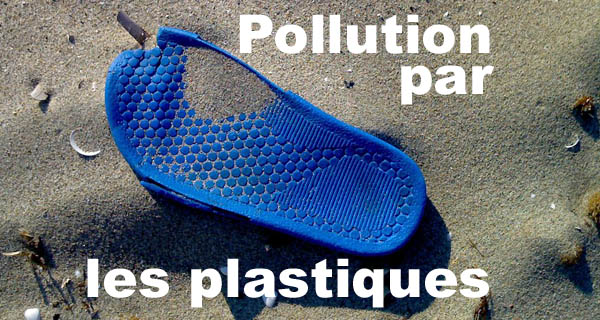 Pollution par les plastiques