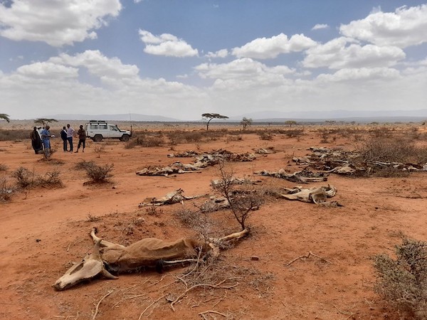 Éthiopie : la pire sécheresse depuis une générationt