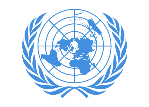 Organisation des Nations unies