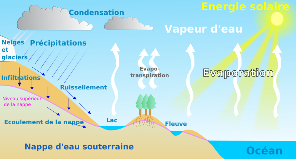 Le cycle de l’eau
