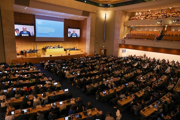 Cinquième session du Comité de négociation intergouvernemental sur la pollution plastique, y compris dans le milieu marin (INC-5.2) à Genève, Suisse.