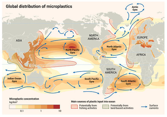 Les plastiques à usage unique interdits en Europe ? Surfrider appelle les  citoyens à vérifier sur le terrain