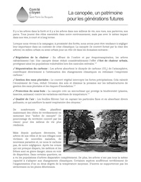 Article Petit Romain août 2026